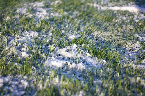 IMG_2187_