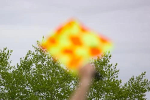 IMG_5331